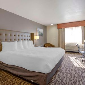 King Room Roll Shower Mobility Access or Non-Smoking